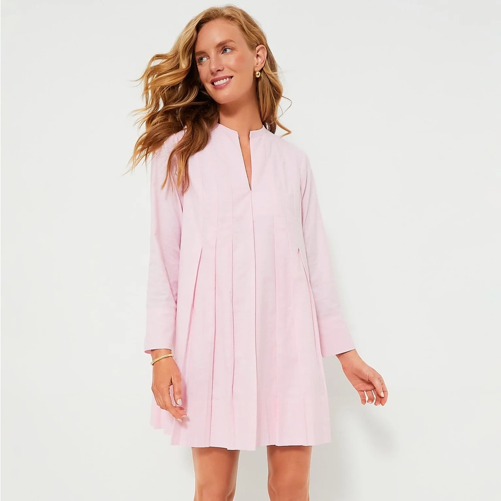 Tuckernuck Hyacinth House pink oxford dress size M